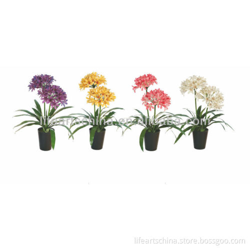 artificial plant artificial flower of AGAPANTHUS series
